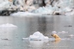 240818c_Freemanbreen_065_E