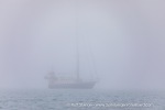 240819a_Halvmaneoya_231_E