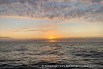 240820b_Sorkapp_01_E