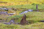 240821d_Tomtodden_06_E
