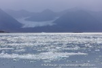 240829b_Kongsfjord_09_E