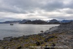 240830a_Virgohamna_21_E