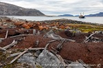 240830a_Virgohamna_58_E