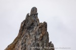 240831a_Hamiltonbukta_037_E