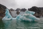 240831a_Hamiltonbukta_085_E