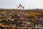 240831b_Buchananhalvoya_32_E