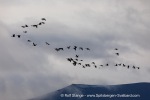 24091a_Andoyane_065_E