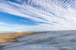 240902b_Ericadalen_054_E
