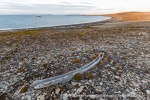 240902d_Von-Otteroya_03_E