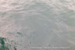 240906a_Trygghamna_05_E