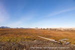 240907b_Bohemanneset_76_E