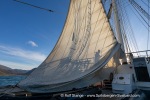 240910b_Isfjord_12_E