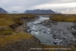 240911a_Eidembukta_33_E