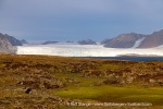 240911b_Hermansenoya_040_E