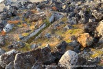 240919a_Sallyhamna_09_E