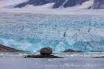 240919e_Fuglefjord_01_E