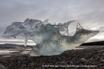 240922a_Flintholmen_114_E