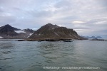 240809_Hamburgbukta_05_E