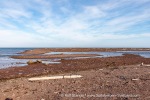 240812a_Tovikbukta_25_E