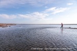 240812a_Tovikbukta_39_E
