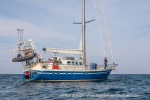 240812a_Tovikbukta_92_E