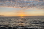 240820b_Sorkapp_01_E