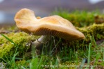 240821d_Tomtodden_28_E