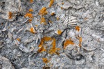 240827a_Bjonahamna_52_E