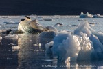 240828b_Borebreen_23_E