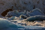 240828b_Borebreen_33_E