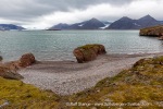 240829a_Midtholmen_03_E