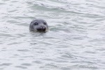 240829a_Midtholmen_75_E
