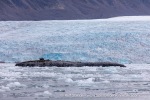 240829b_Kongsfjord_01_E
