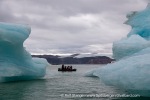 240831a_Hamiltonbukta_090_E
