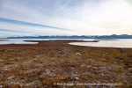 240901a_Andoyane_122_E