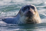 240902b_Ericadalen_343_E