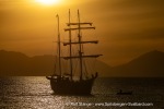240911b_Hermansenoya_178_E