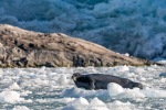 240913b_Fjerdebreen_156_E