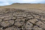 240916b_Zeipelodden_20_E