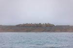 240917a_Wahlbergoya_01_E