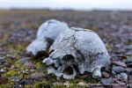 240918b_Moffen_71_E