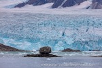 240919e_Fuglefjord_01_E