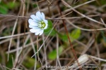 240921b_Alkhornet_109_E