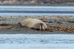 240922d_Kapp-Wijk_43_E