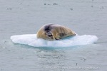 220720c_Monacobreen_15_E