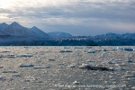 220918b_Monacobreen_080_E