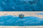 a8_Monacobreen_05Okt10_41_E