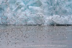 a8_Monacobreen_07Jul06_31_E