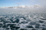 b9_Monacobreen-20June07_04_E