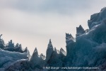 f2o_Monacobreen_29Juni13_101_E